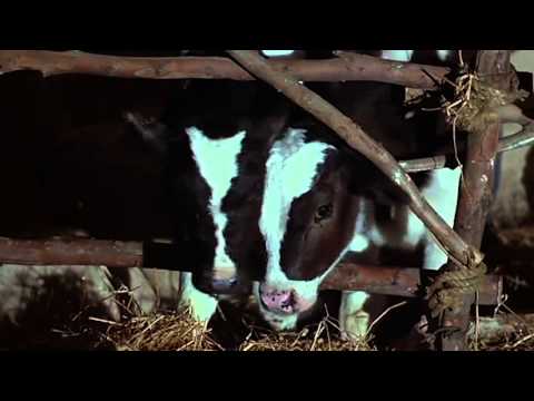 Jesus’ miraculous birth